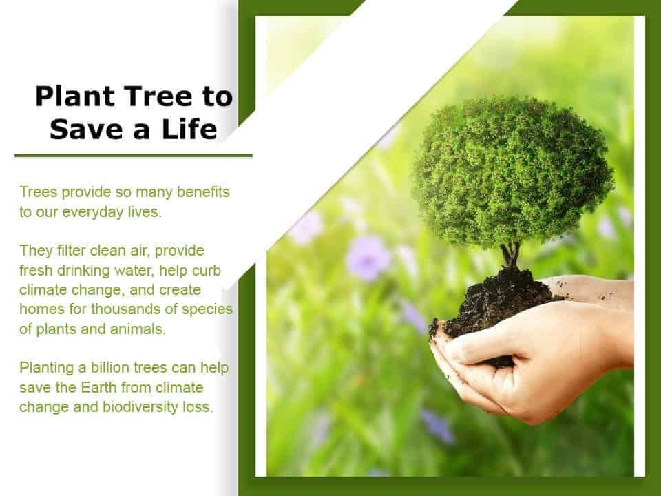 Save tree for oxygen