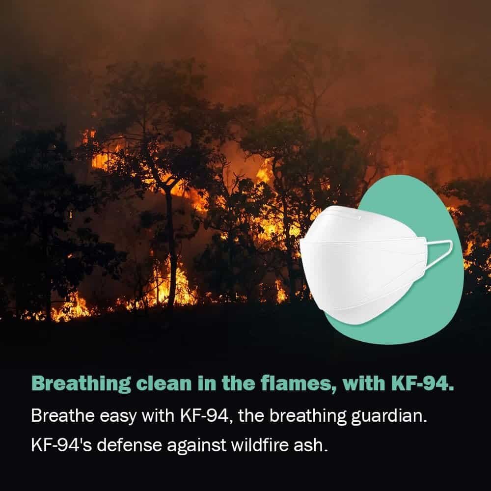 breathe easy in wildfire KF94 face mask